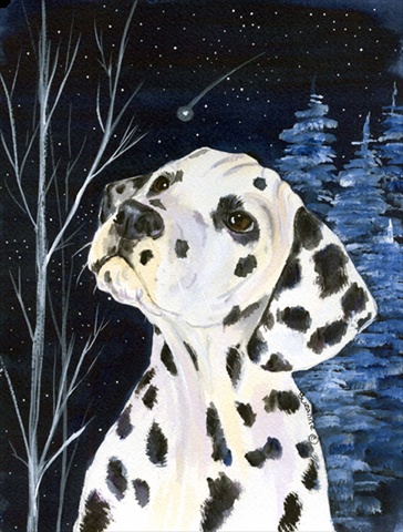 Picture of Carolines Treasures SS8370CHF Starry Night Dalmatian Flag Canvas - House Size