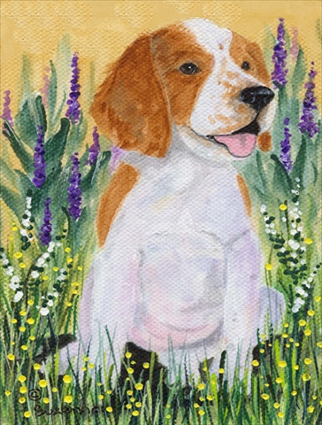 SS8219CHF Welsh Springer Spaniel Flag Canvas - House Size
