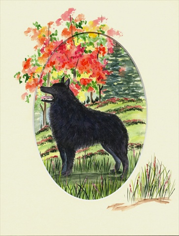 Picture of Carolines Treasures SS8058CHF Schipperke Flag Canvas - House Size