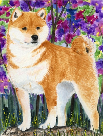 Picture of Carolines Treasures SS8061CHF Shiba Inu Flag Canvas - House Size