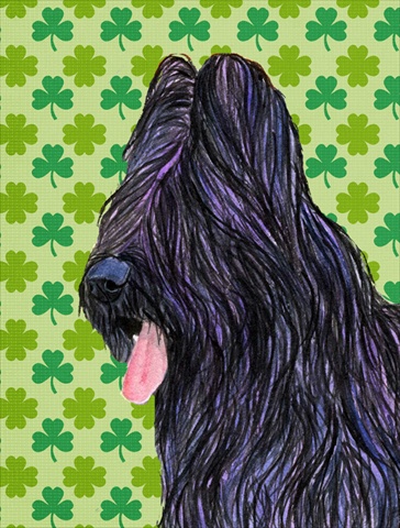 Briard St. Patricks Day Shamrock Portrait Flag - Garden Size