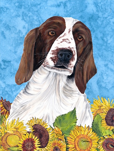Welsh Springer Spaniel Flag - Garden Size