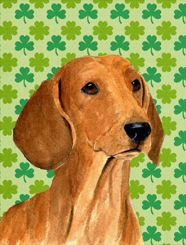Dachshund St. Patricks Day Shamrock Portrait Flag Canvas - House Size