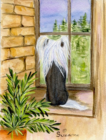 Chinese Crested Flag Canvas - House Size