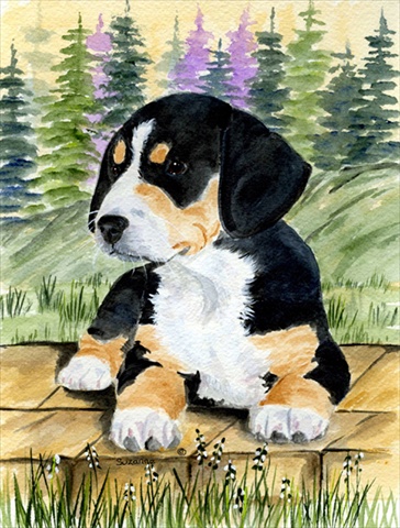 Entlebucher Mountain Dog Flag Canvas - House Size