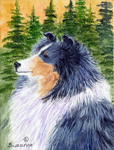 Sheltie Flag Canvas - House Size