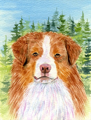 Australian Shepherd Flag - Garden Size