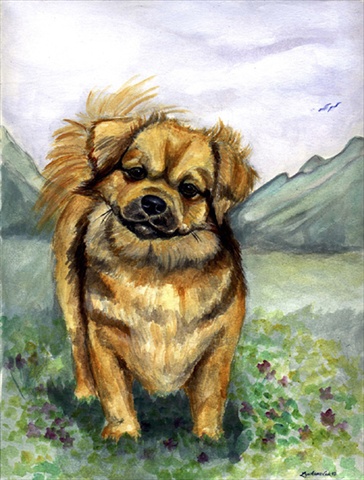 Tibetan Spaniel Flag Canvas - House Size