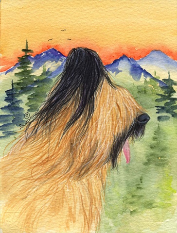 Briard Flag - Garden Size