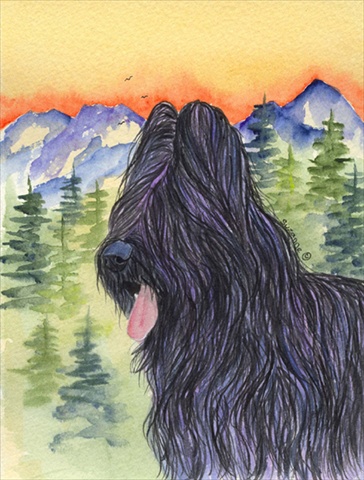 Briard Flag - Garden Size