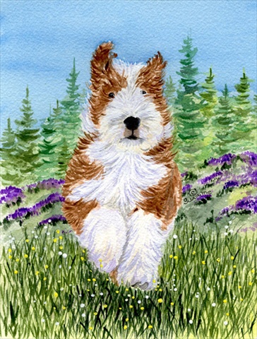 Bearded Collie Flag - Garden Size