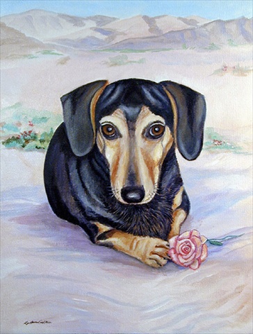 Black And Cream Dachshund Flag - Garden Size
