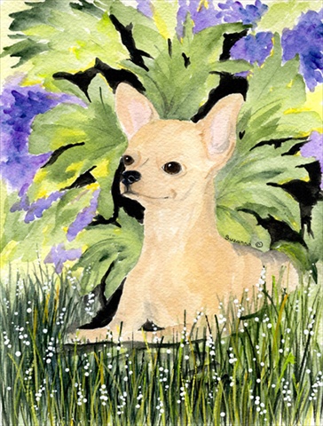 Chihuahua Flag - Garden Size