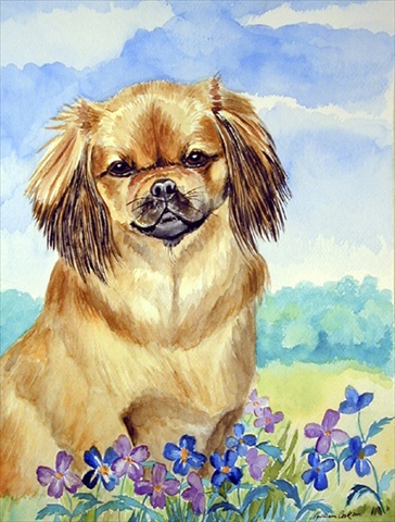 Tibetan Spaniel Flag Canvas - House Size