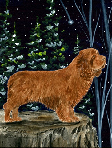Sussex Spaniel Flag Canvas - House Size - Multi-colored