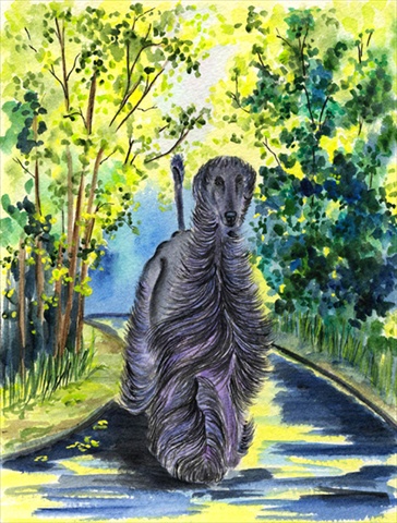 Afghan Hound Flag - Garden Size