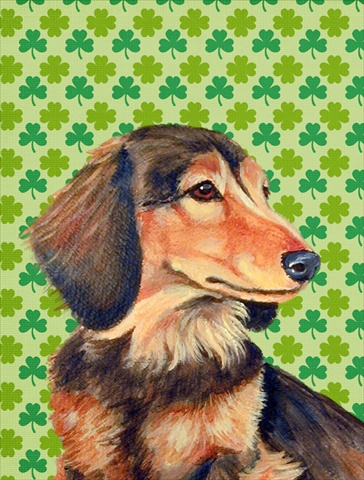 Dachshund St. Patricks Day Shamrock Portrait Flag - Garden Size