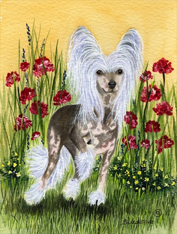 Chinese Crested Flag Canvas - House Size