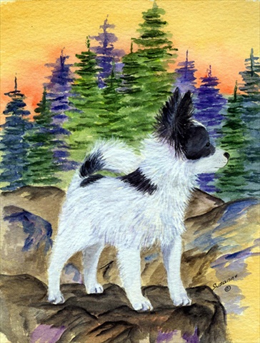 Papillon Flag Canvas - House Size