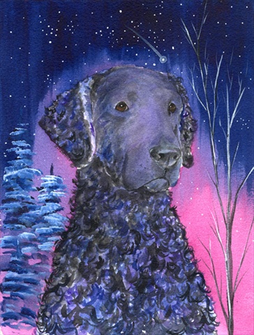 Starry Night Curly Coated Retriever Flag - Garden Size