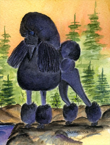 Poodle Flag - Garden Size