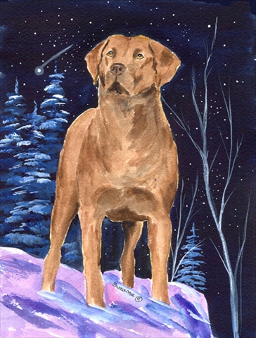 Starry Night Chesapeake Bay Retriever Flag - Garden Size