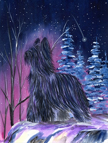 SS8366CHF Starry Night Briard Canvas Flag - House Size- 28 x 40 in.