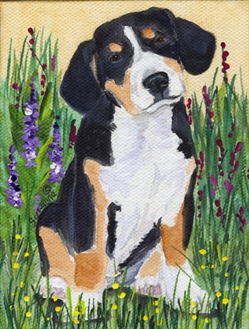Entlebucher Mountain Dog Flag - Garden Size, 11 x 15 in.