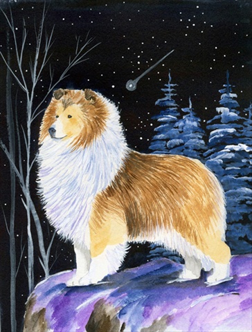 Starry Night Sheltie Canvas Flag - House Size, 28 x 40 in.