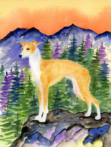 Italian Greyhound Canvas Flag - House Size- 28 x 40 in.