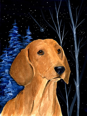 Starry Night Dachshund Canvas Flag - House Size- 28 x 40 in.