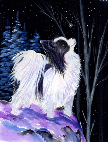 Starry Night Papillon Canvas Flag - House Size, 28 x 40 in.