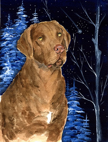 Starry Night Chesapeake Bay Retriever Canvas Flag - House Size- 28 x 40 in.