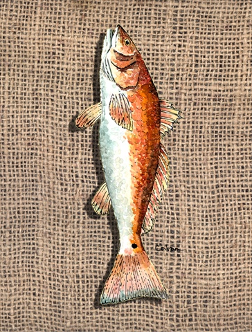 Fish Red Fish Canvas Flag - House Size, 28 x 40 in.