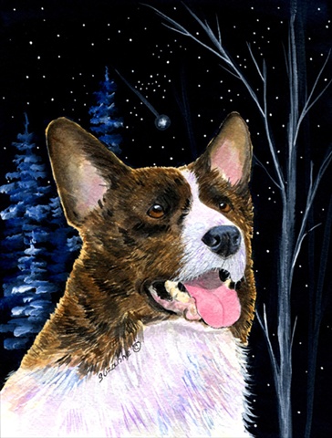 Starry Night Corgi Canvas Flag - House Size, 28 x 40 in.