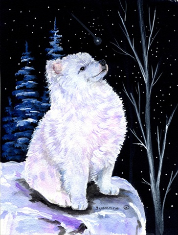 Starry Night American Eskimo Flag - Garden Size, 11 x 15 in.