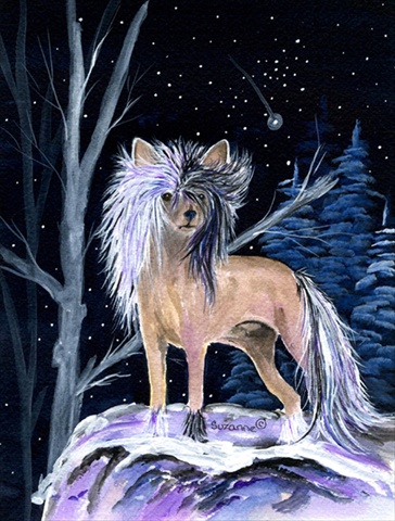 Starry Night Chinese Crested Canvas Flag - House Size, 28 x 40 in.