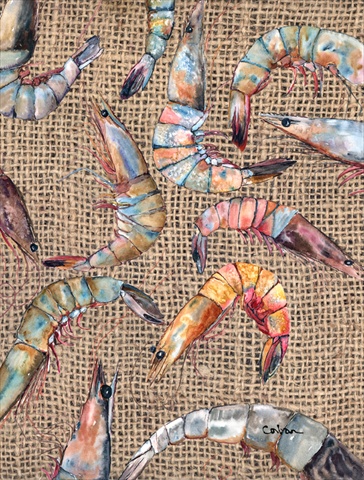 Shrimp Canvas Flag - House Size- 28 x 40 in.