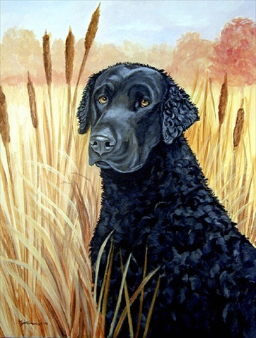 Curly Coated Retriever Flag - Garden Size, 11 x 15 in.