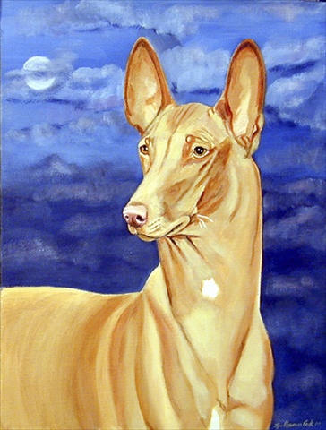 Pharaoh Hound Canvas Flag - House Size- 28 x 40 in.