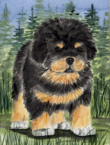 Tibetan Mastiff Canvas Flag - House Size- 28 x 40 in.