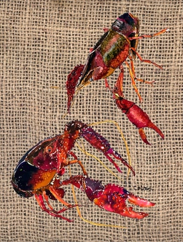 Crawfish Flag - Garden Size, 11 x 15 in.