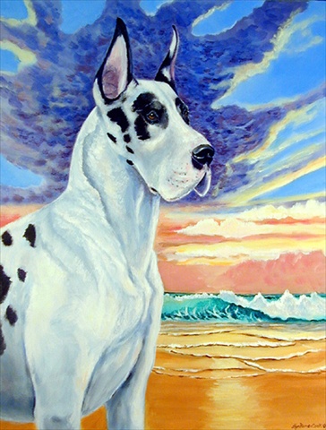 Great Dane Harlequin Dane at Sunset Canvas Flag - House Size- 28 x 40 in.