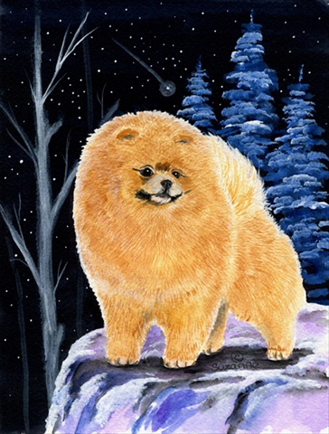 Starry Night Pomeranian Canvas Flag - 28 x 40 in.