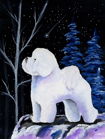 Starry Night Bichon Frise Canvas Flag - House Size- 28 x 40 in.