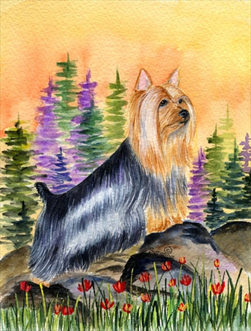 Silky Terrier Canvas Flag - House Size- 28 x 40 in.