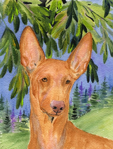 Pharoh Hound Canvas Flag - House Size- 28 x 40 in.