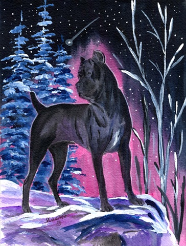 Starry Night Cane Corso Canvas Flag - House Size- 28 x 40 in.