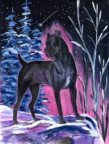 Starry Night Cane Corso Flag - Garden Size, 11 x 15 in.