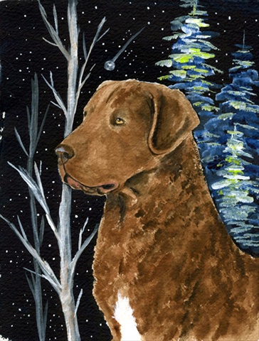 Starry Night Chesapeake Bay Retriever Flag - Garden Size, 11 x 15 in.